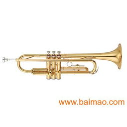 專業(yè)樂(lè)器供應(yīng) 批發(fā)零售全新原裝正品雅馬哈、卡西歐、美德理、羅蘭電子琴